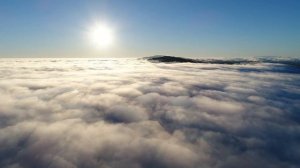 Снежок Пастернак