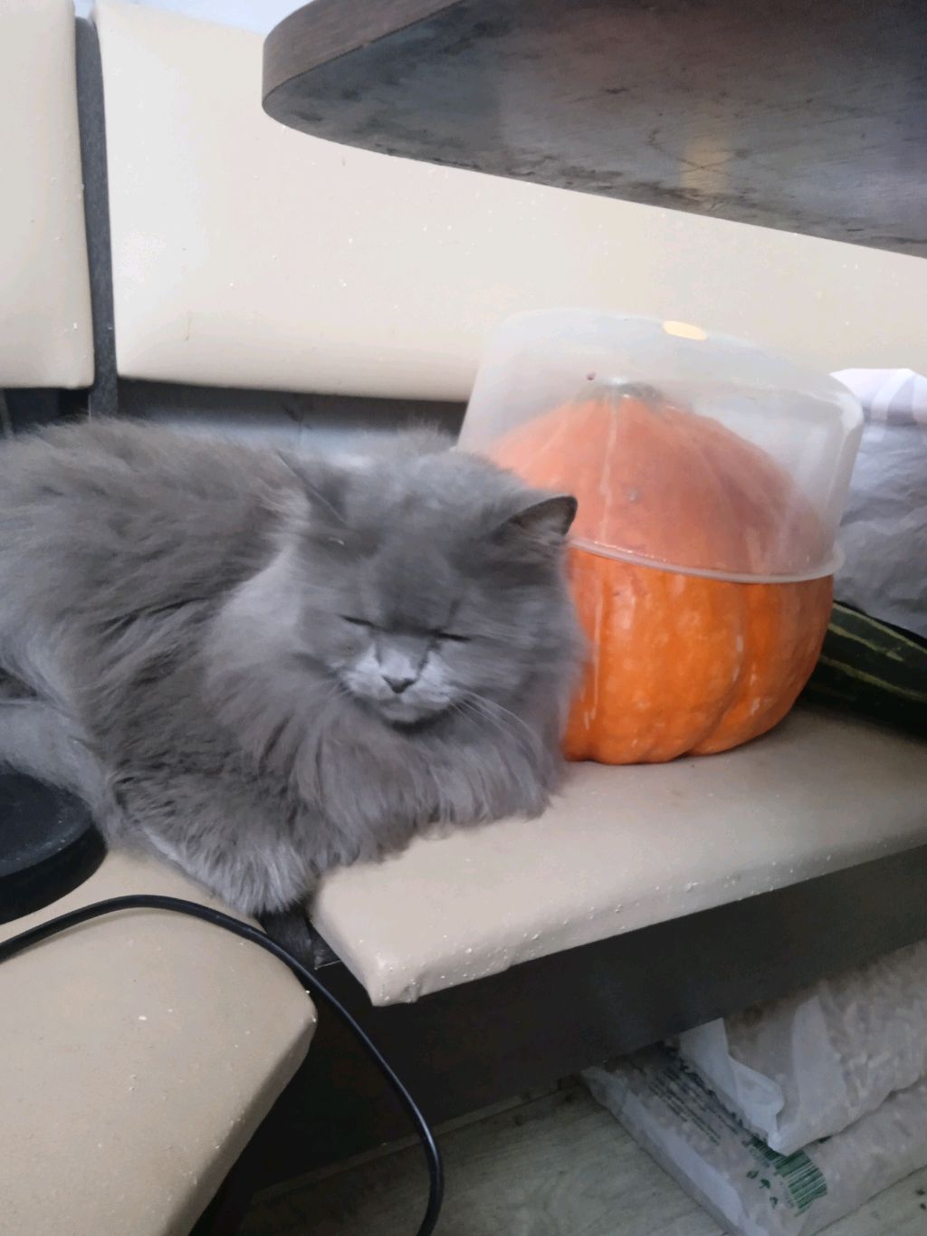 пирсинг смотреть онлайн