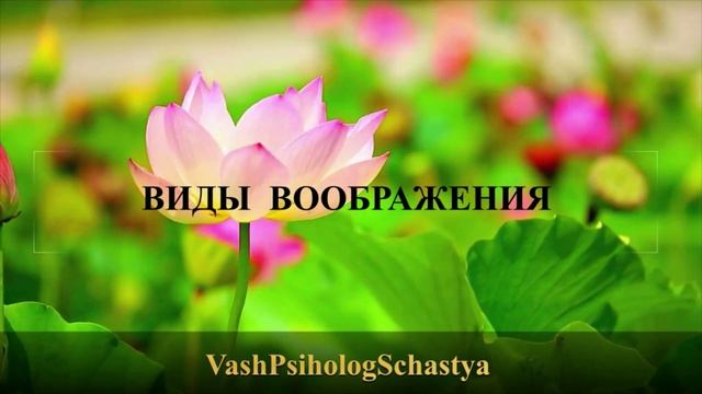 ⚡ 11.2 Виды воображения #вашпсихологсчасть #осознание #мышление #мозг #память #учимпсихологию