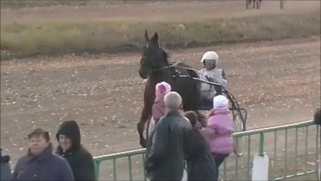 Приз Элиты смотреть онлайн