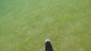 Тургояк подводная охота.