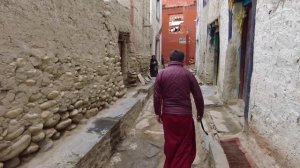 Запретное Королевство Мустанг. The Forbidden Kingdom of Mustang.