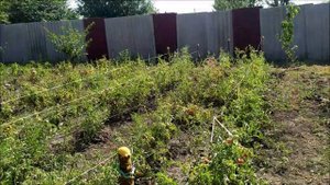 Благоустройство дачи, после покупки участка. Наводим там порядок.