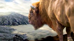Самые необычные животные Кавказа: кто главный в заповедных горах? | Все как у людей