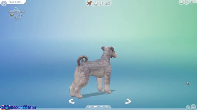 De Sims 4 Honden & Katten Overzicht alle 51 Kleine Honden Rassen Inlusief Puppy смотреть онлайн