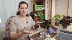 СУПЕР СПОСОБ ПОСАДКИ ЭУСТОМЫ. БЫСТРО И ПРОСТО.