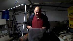 Инъекция сурфагона инкубация Клариевого Сома Часть 2