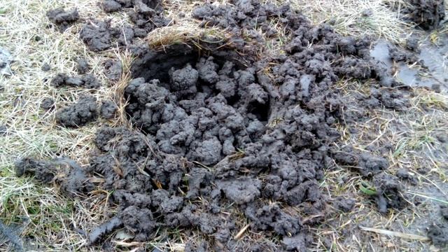 Инструмент для копки ям. Практические советы.  Шпалера для виноградника. Бурим ямы под столбы. смотреть онлайн