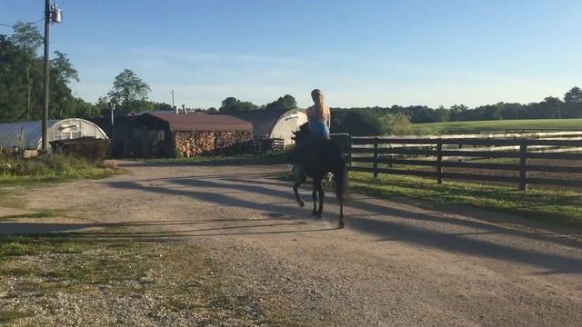 Tango Dance Master 2 смотреть онлайн