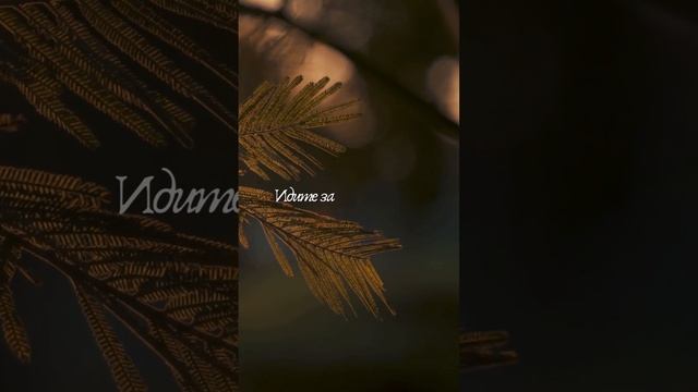 Идите за своей мечтой #любовьксебе #психология #любовь #саморазвитие #самопознание #психолог #shorts смотреть онлайн