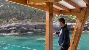 🇹🇷 Аланья дайвинг, Средиземное море, погружение на глубину 7-10 метров