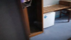 Гостиница "Космос", Москва, стандартный номер. Стационарный телефон в туалете.