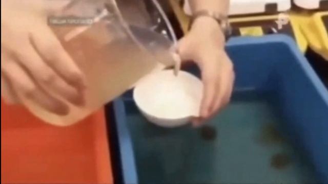 #Китайские производители подделывают куриные яйца смотреть онлайн