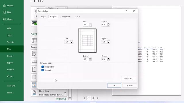 How to Center Worksheet Horizontally and Vertically in Excel (Print Centered on Page Excel)