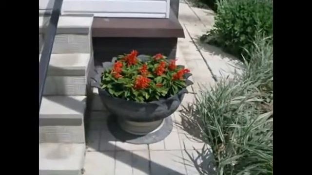 Креативные идеи - клумбы из покрышек смотреть онлайн