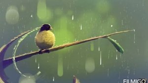 шум дождя и грозы под пение птиц. sounds rain and birds