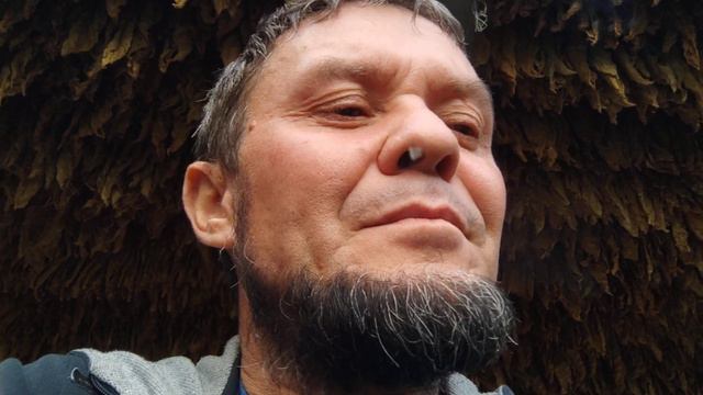 Дегустация сорта табака Yenidje, Дюбек смотреть онлайн