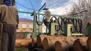 Вертикальная ленточная пилорама Primultini SE 1100 (производство Италия).