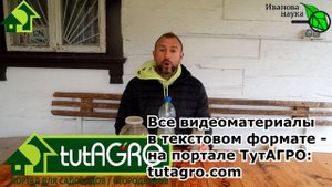КОПИЛКА РЕЦЕПТОВ. Популярное средство от болезней и вредителей своими руками. Зеленое мыло, но лучш
