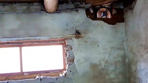 ПОЧЕМУ ТАК ДЕЛАТЬ НЕ НАДО? СЫРОСТЬ, ГРИБОК И ПЛЕСЕНЬ В САРАЕ! ПРИНУДИТЕЛЬНАЯ ВЕНТИЛЯЦИЯ С ПРИТОЧКОЙ