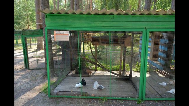 #орловское#полесье