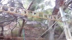 Симеиз и Форос.