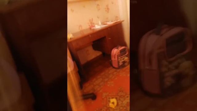 Что можно одеть на празники смотреть онлайн