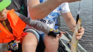 Рыбалка на Северной Двине