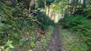 Рыбалка на севере Сахалина, река Лангери, Смирныховский район, осень 2021. Рыбалка на гольца.