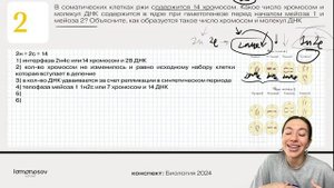 28 задания на митоз и мейоз для ЕГЭ 2024 по Биологии