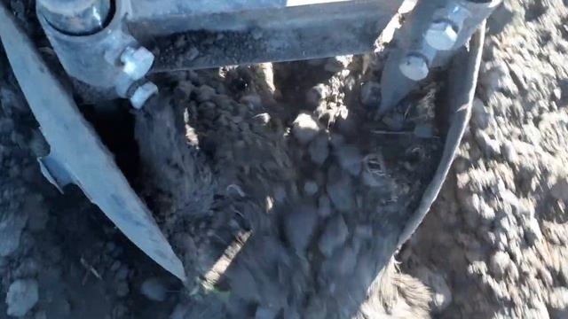 посадка картофеля картофелесажалкой мотоблоком АГРО.