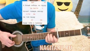 Я КУПЛЮ ТЕБЕ ДОМ (Белый лебедь). Разбор с аккордами в Em, на гитаре