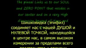 шишковидная железа выход на каналы