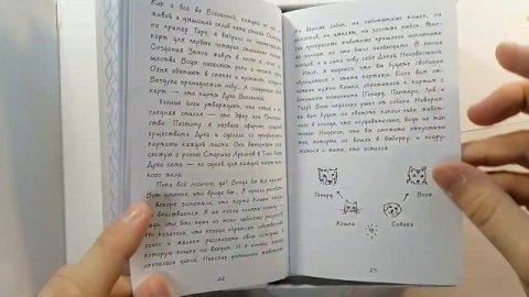 Оракул Дикое неизвестное тотемное животное: распаковка и обзор