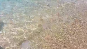 Море. Севастополь, 18 августа.