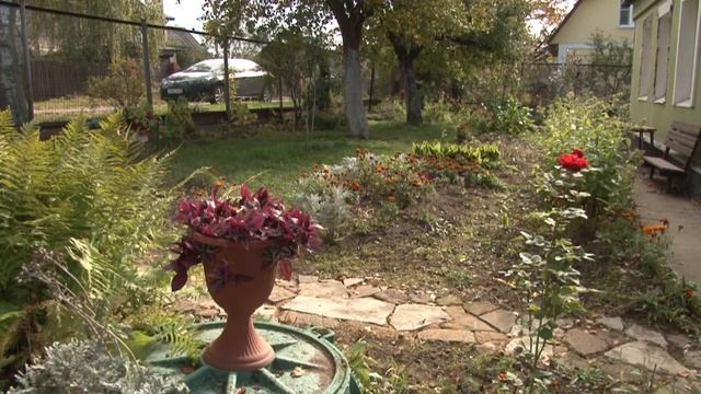 Волонтёры «Мособлгаза» смотреть онлайн