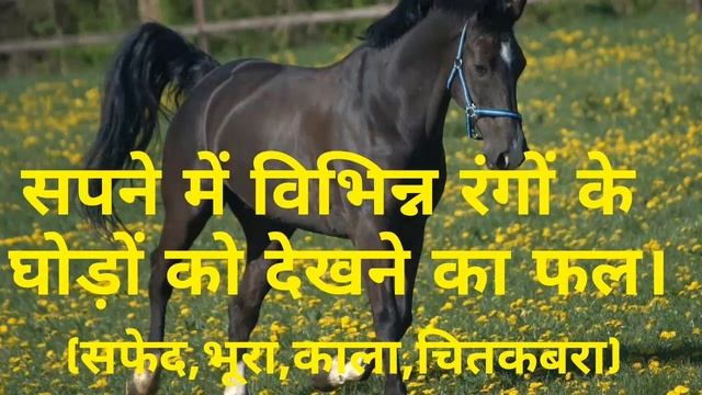 sapne me vibhinn rang ke ghode dekhna।seeing horses of different colors in dreams। смотреть онлайн