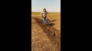Мотоблок Ока часть 4 Первая проба фрез Целина