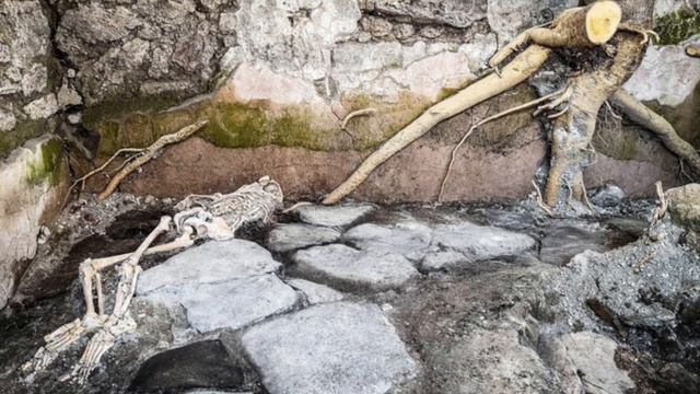 Скелеты двух женщин и ребенка. Новое открытие в Помпеях смотреть онлайн