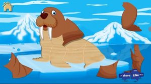 Baby crocodile pro kids puzzles#2  Funny Animals / gameplay / #forkids //