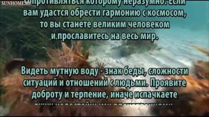 К чему снится Вода сонник, толкование сна