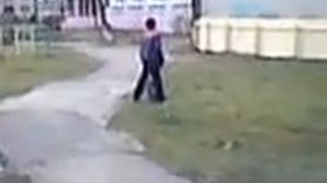 Походка пингвина