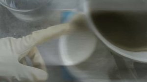 ЗОЛОТО ИЗ КИЛО БОГАТОГО КОНЦЕНТРАТА! ЗОЛОТАЯ ЦИКАДА + ПЕРЕКИСЬ ВОДОРОДА