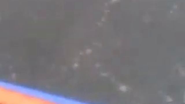 рыбалка дикий морской очень голодный смотреть онлайн