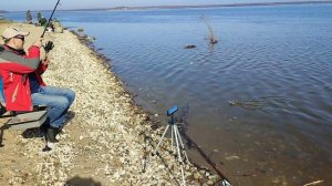 Рыбалка на Волге, Весна Фидер