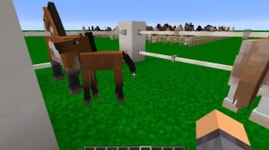 Minecraft Mod Review: Realistic Horse Genetics Mod