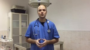 Почему у кота висит живот, мешок на животе у кошки