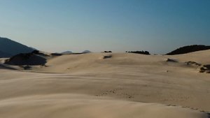 Brazil, Florianopolis // Бразилия, Флорианополис. Пляжи, песчаные дюны, пингвины.