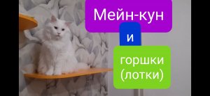 Мейн кун. Как мы пользуемся лотками.