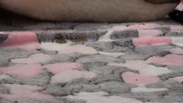 День семьи любви и верности Абан 07 07 2019 смотреть онлайн